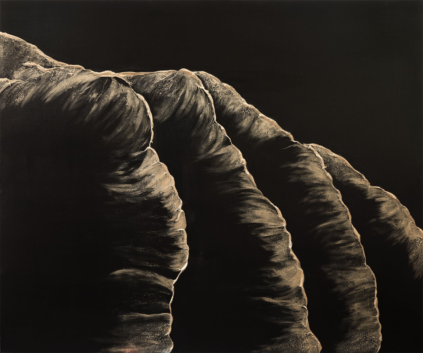 Midnight Swell: Fine Art Print